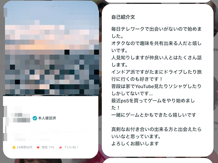 オタク趣味をプロフィールに記載している参考例